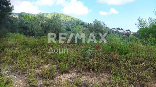 Land Parcel 4142m²  - 4