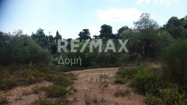 Land Parcel 4142m²  - 5