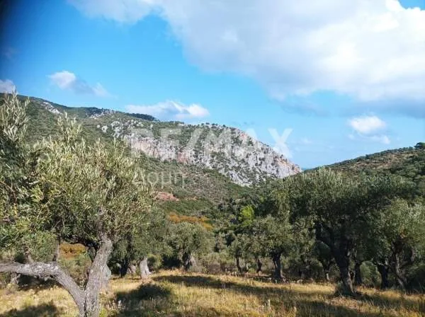 Land Parcel 4195m²  - 2