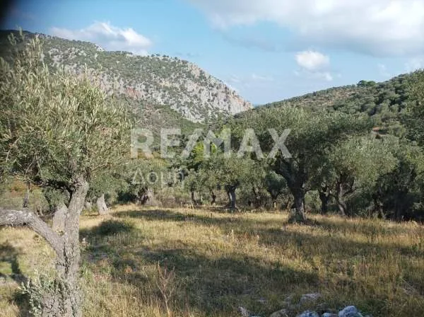 Land Parcel 4195m²  - 3