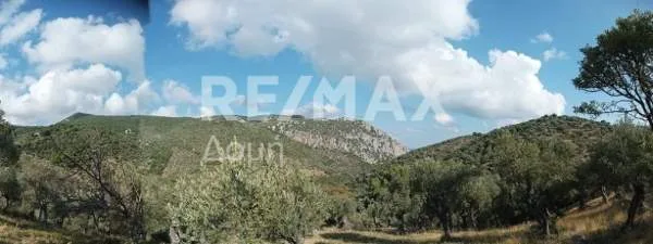 Land Parcel 4195m²  - 4