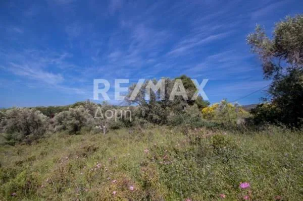 Land Parcel 4050m²  - 3
