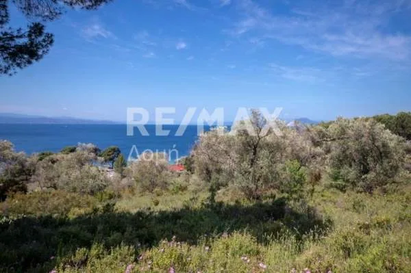 Land Parcel 4050m²  - 4