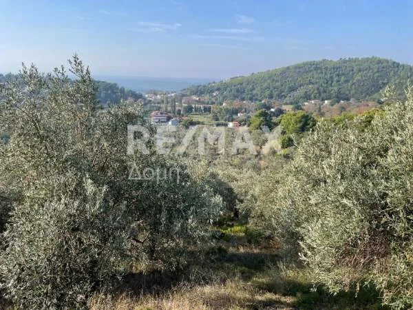 Αγροτεμάχιο 4500τ.μ.  - 4