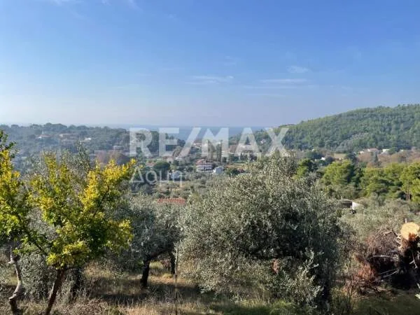 Αγροτεμάχιο 4500τ.μ.  - 5