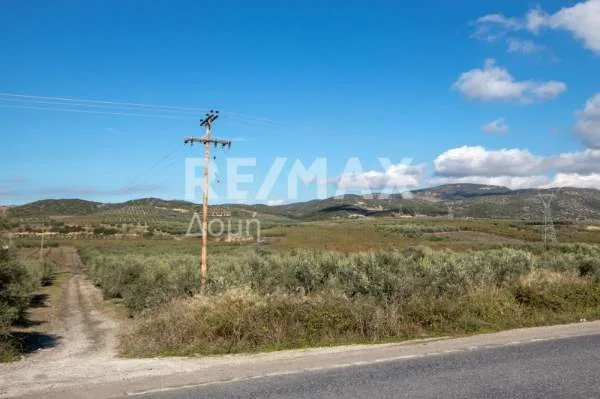 Αγροτεμάχιο 4417τ.μ.  - 5