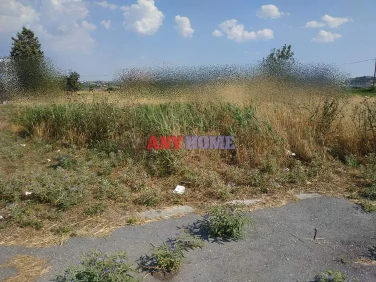 Αγροτεμάχιο 8500τ.μ.  - 2