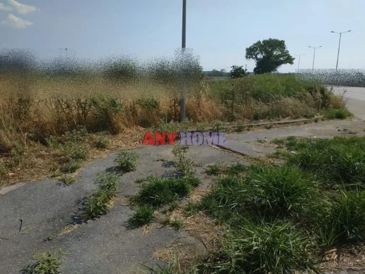 Αγροτεμάχιο 8500τ.μ.  - 4