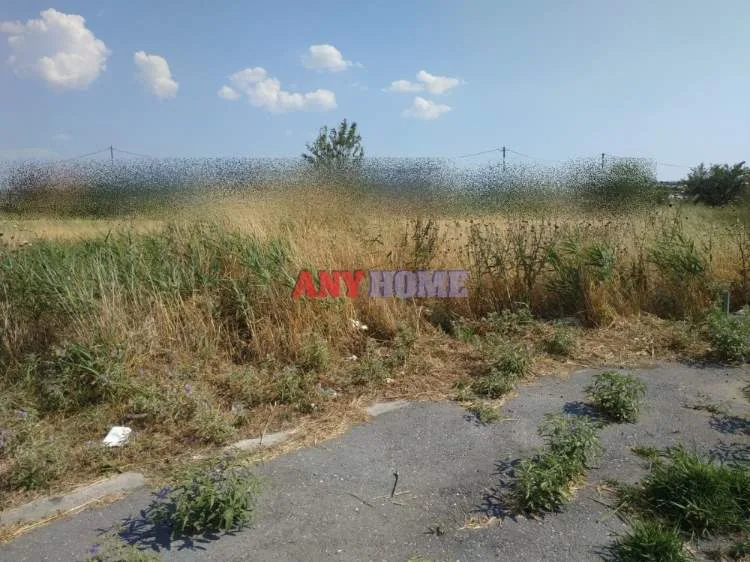 Αγροτεμάχιο 8500τ.μ.  - 5