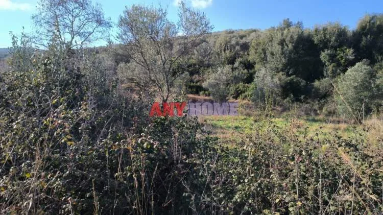 Land Parcel 2400m²  - 2