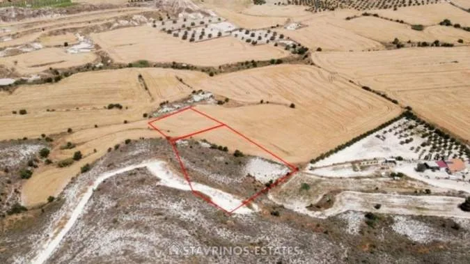 Αγροτεμάχιο 6164τ.μ.  - 2
