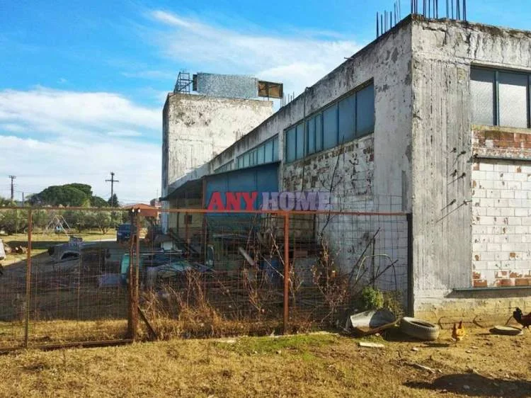 Αγροτεμάχιο 4500τ.μ.  - 4