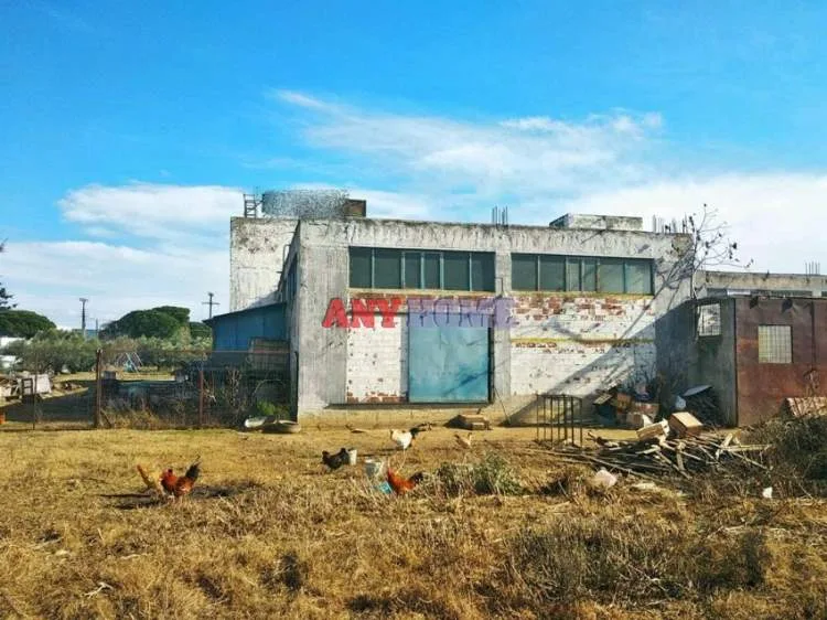 Αγροτεμάχιο 4500τ.μ.  - 5