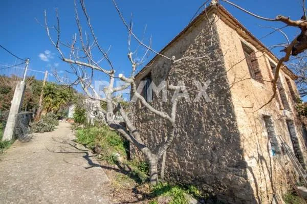 Μονοκατοικία 102τ.μ.  - 5