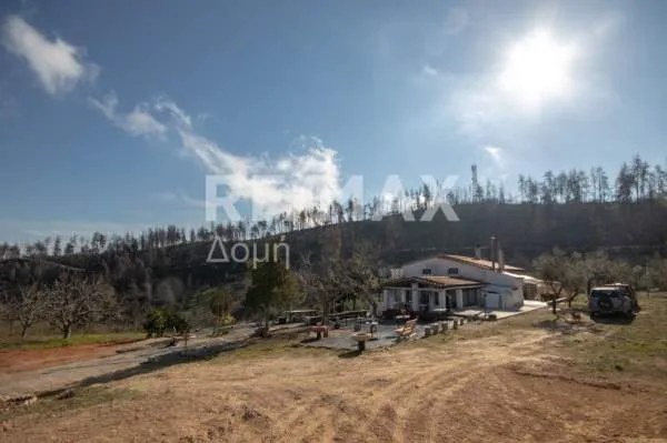 Μονοκατοικία 200τ.μ.  - 5