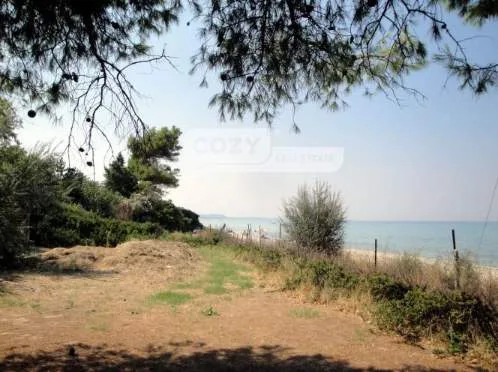Land Parcel 9080m²  - 3