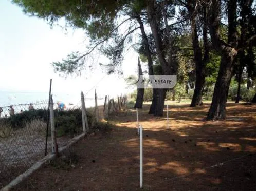 Land Parcel 9080m²  - 4