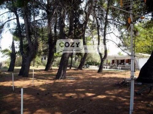 Land Parcel 9080m²  - 5
