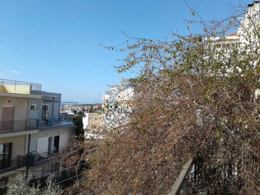 Μονοκατοικία 245τ.μ.  - 4