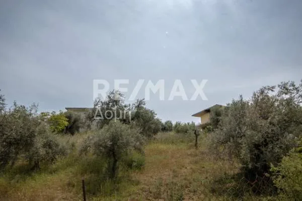 Detached house 315m²  - 2