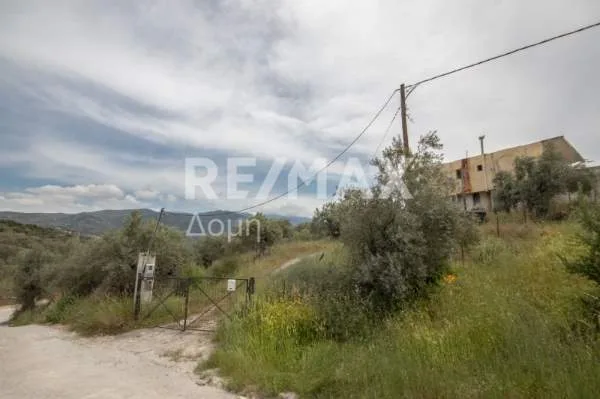 Detached house 315m²  - 3