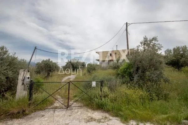 Detached house 315m²  - 4