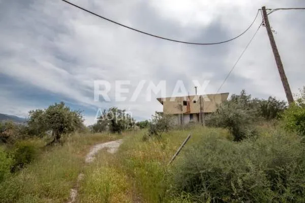 Detached house 315m²  - 5