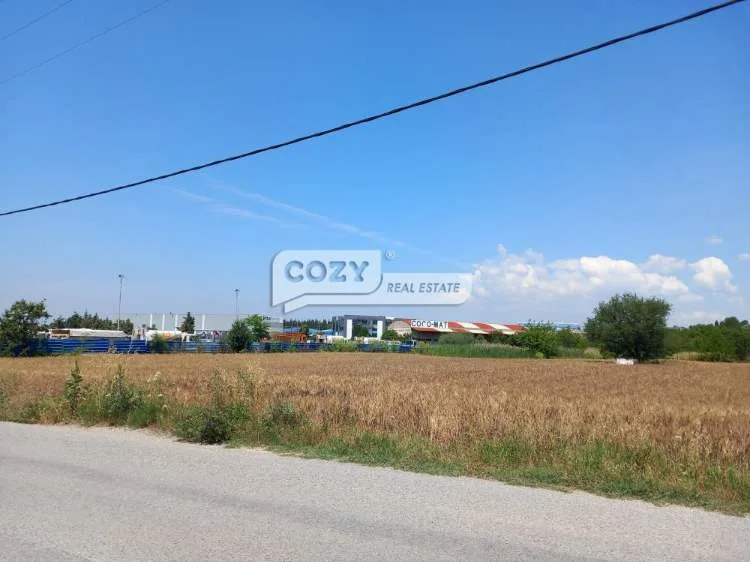 Land Parcel 30000m²  - 2