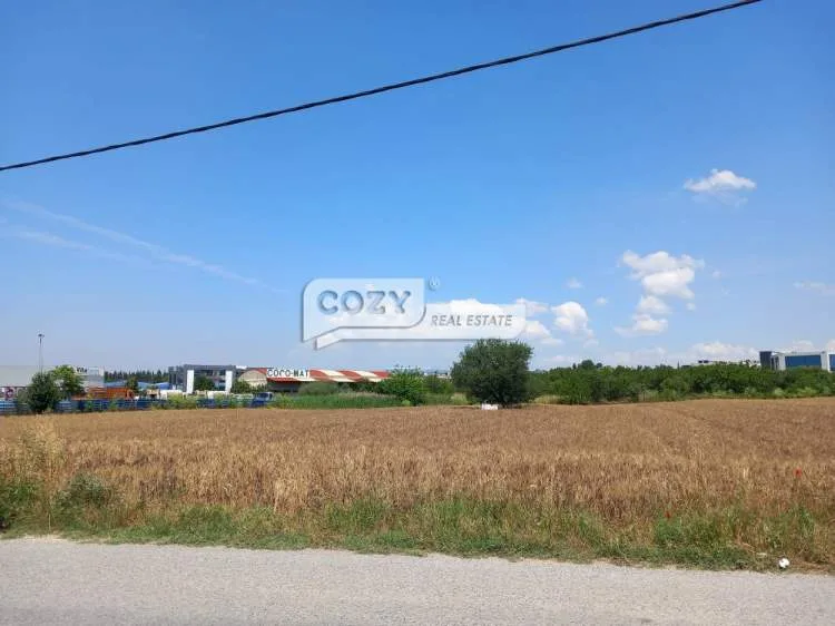 Land Parcel 30000m²  - 3