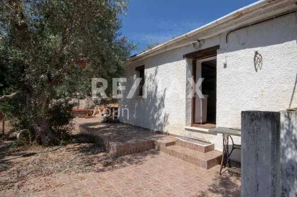 Land Parcel 19852m²  - 3