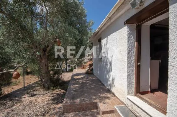 Land Parcel 19852m²  - 4