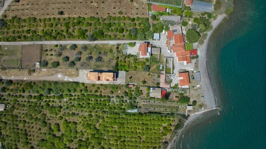 Αγροτεμάχιο 270τ.μ.  - 5