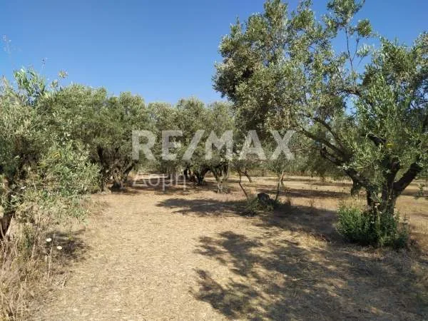 Land Parcel 3350m²  - 2