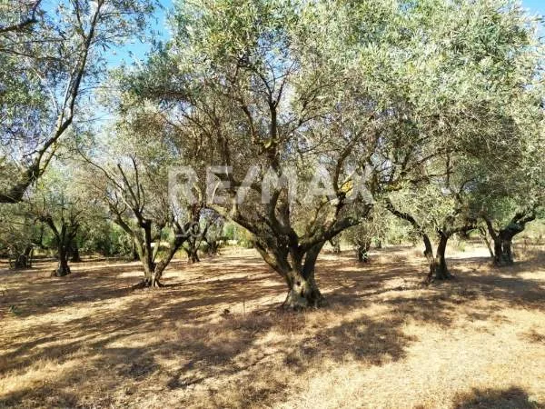 Land Parcel 3350m²  - 3