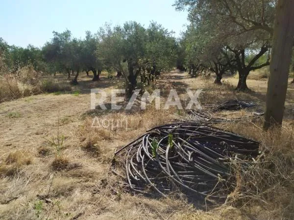 Land Parcel 3350m²  - 4