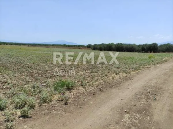 Land Parcel 9730m²  - 3