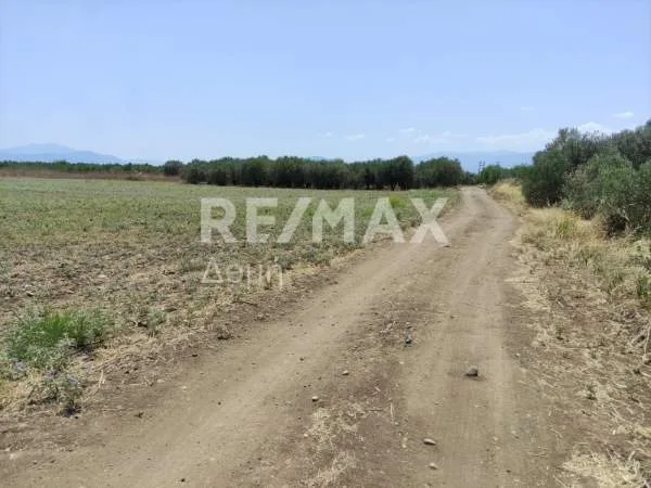 Land Parcel 9730m²  - 4