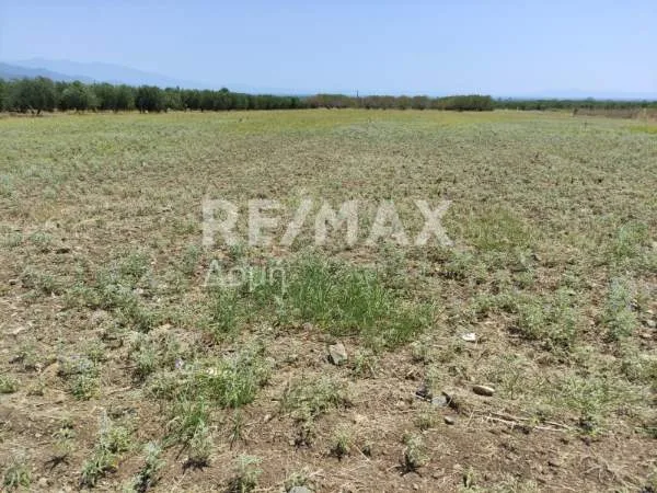 Land Parcel 9730m²  - 5