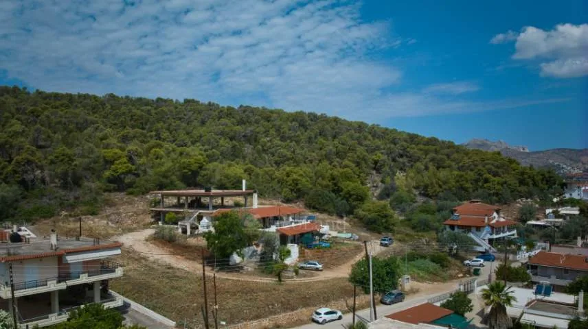 Μονοκατοικία 445τ.μ.  - 2