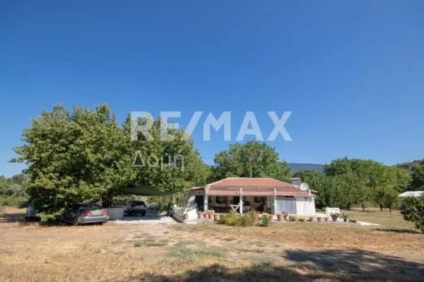 Detached house 138m²  - 5