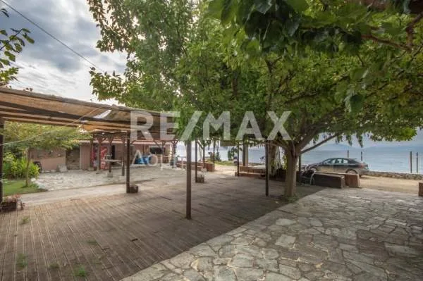 Shop 43m²  - 2