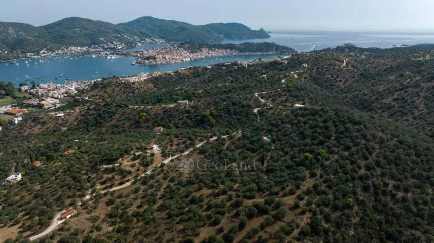 Αγροτεμάχιο 9000τ.μ.  - 2