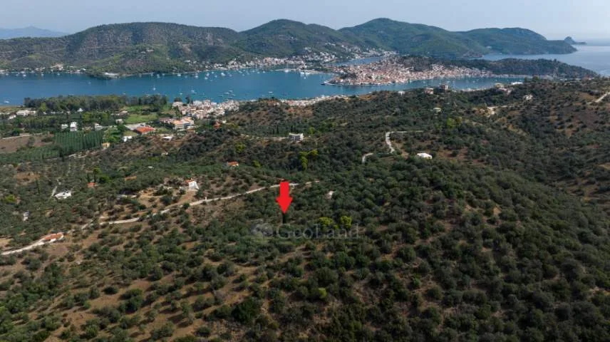 Αγροτεμάχιο 9000τ.μ.  - 3