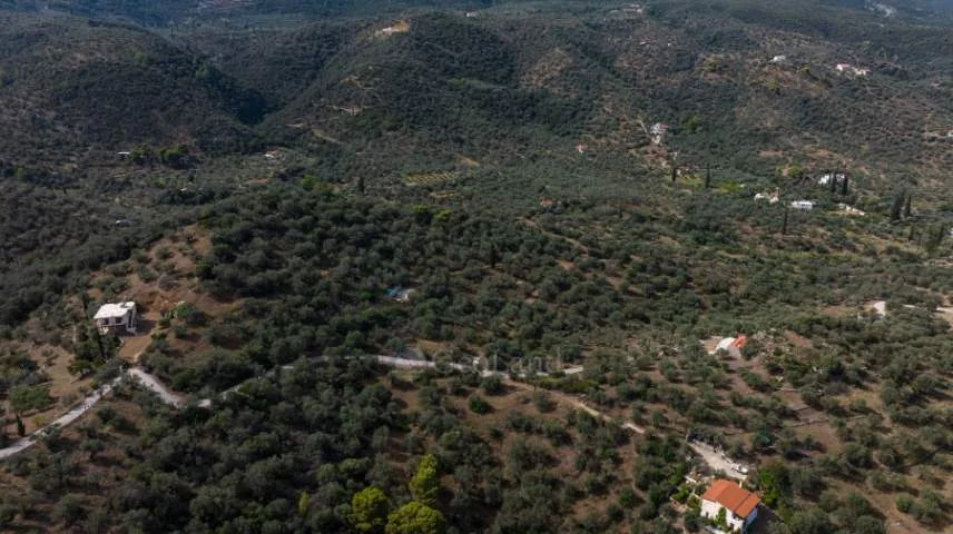Αγροτεμάχιο 9000τ.μ.  - 4