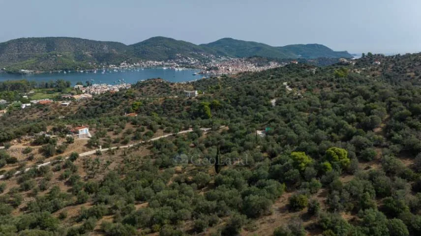 Αγροτεμάχιο 9000τ.μ.  - 5