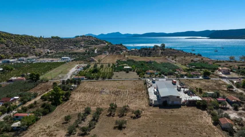 Αγροτεμάχιο 37210τ.μ.  - 4
