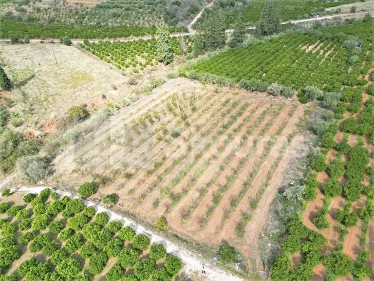 Land Parcel 5120m²  - 2