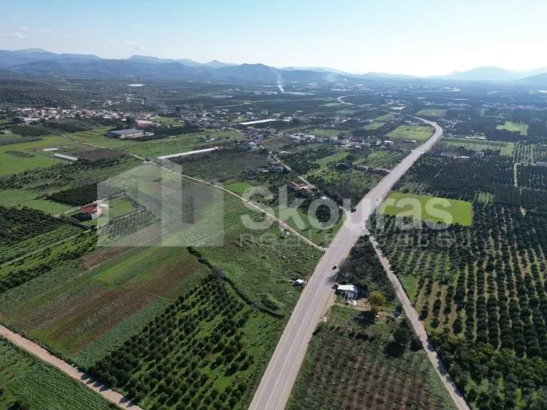 Αγροτεμάχιο 9000τ.μ.  - 4