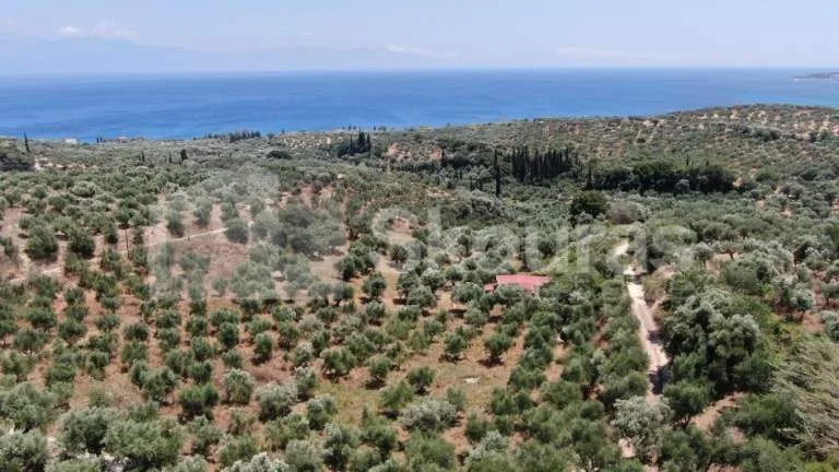 Plot 1096m²  - 3