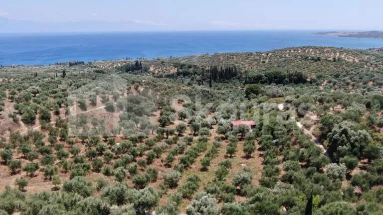 Plot 1209m²  - 2